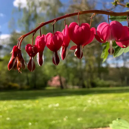 Kersdorf Nyaraló Briesen (Mark)