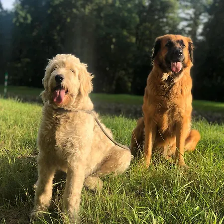 Kersdorf Nyaraló Briesen (Mark)